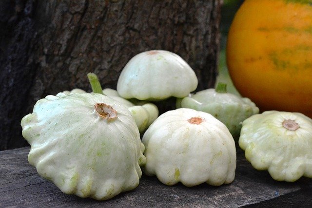 Pattison and zucchini – Underrated vegetables post thumbnail image